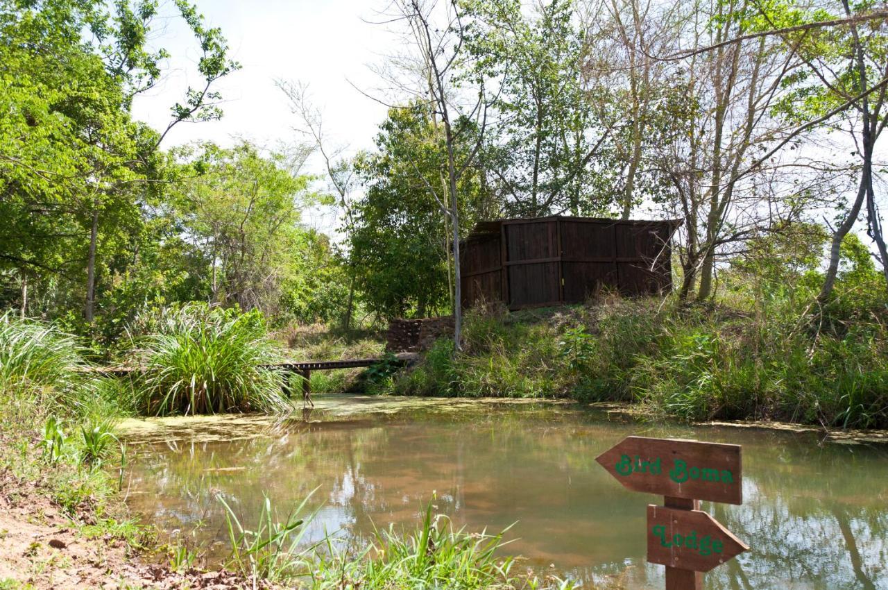Greenfire Hazyview Lodge Bagian luar foto