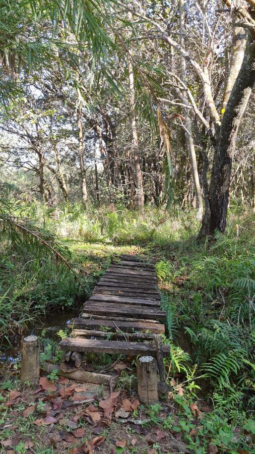 Greenfire Hazyview Lodge Bagian luar foto